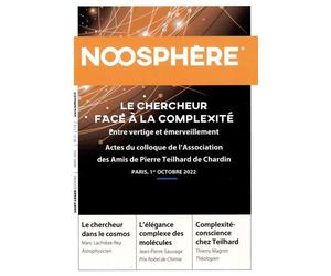 Noosphère 21 - Le chercheur face à la complexité - Collectif - Saint-Leger Eds - broché - Revue