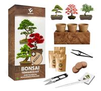 NOPALIA® Kit Bonsaï 3 Espèces Bio Prêt à Pousser avec Outils Pro (Pince, Ciseaux, Pipette), Pots, Terre & Boîte-Socle Innovante - Garantie 95% Germination - Idée Cadeau Zen Noël Made in France