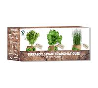 NOPALIA® Kit Herbes Aromatiques & Aromates - Mini Potager Intérieur & Extérieur - Graines Biologiques (Basilic, Persil, Ciboulette) - Idée Cadeau noel, Cuisine - Produit Écologique - Made in France
