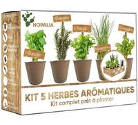 Nopalia® kit herbes aromatiques bio prêt à pousser - 5 variétés