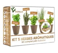 NOPALIA® Kit Herbes Aromatiques Intérieur - 5 Variétés (Basilic, Persil, Ciboulette, Coriandre, Romarin), Pots Biodégradables, Terreau & Ebook Recettes - Idée Cadeau Noël Cuisine Femme Homme