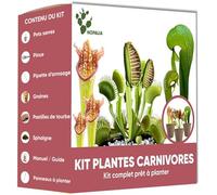 NOPALIA® Kit Plantes Carnivores Premium - Dionaea, Darlingtonia & Sarracenia - Kit Complet avec Serre, Pots, Tourbe & Sphaigne - Cadeau Insolite & Éducatif - DIY Jardin Intérieur - Made in France