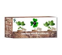 Nopalia® kit trèfle à 4 feuilles porte-bonheur