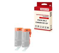 NOPAN-INK - x2 Cartouches Compatible pour Canon CLI 551G XL CLI 551GXL Gris Canon Pixma IP 8700 Series IP 8720 IP 8750 MG 6300 Series MG 6350 M