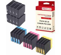 NOPAN-INK - x20 Cartouche compatible pour CANON PGI 2500 XL PGI 2500XL Noir (x8) + Cyan (x4) + Magenta (x4) + Jaune (x4) 9254BPK20