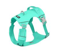 Nopull Harnais pour chien avec sangle de poitrine pour promener le chien en plein air avec motifs réfléchissants réglables