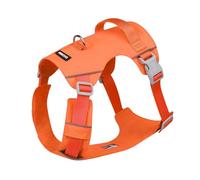 Nopull Harnais pour chien avec sangle de poitrine pour promener le chien en plein air avec motifs réfléchissants réglables