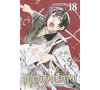 Noragami: Stray God 19