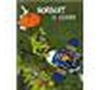 Norbert le lézard - Patrick Cothias - Vents D'ouest - cartonné - Bande dessinée jeunesse