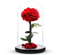 Norcalway Premium Gifts - Rose préservée éternelle dans un dôme en verre - Décoration de rose La Belle et la Bête dans un dôme en verre pour décorations