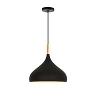 Nordic Creative Iron Wood Pendant Lights, 1-Light Hanging Lamp Moderne Mini Dining Room Plafond Chandelier
