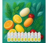 Nordic Frost Edition - Sasami Signature Collection - Set de 10 x 10ml d’arômes concentrés - Vegan