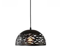 Nordic rétro Hanging Lampe E27 Iron Pendant Light Iron Hollow Out Metal Chandelier Living Room Bedroom Shop Contemporary Lighting Decoration Intéressant Life 30cm Blanc ， Pendante Lumières (Noir, 30C