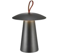 Nordlux Ara to go lampe de table d'extérieur 1x2 W noir 2318245003