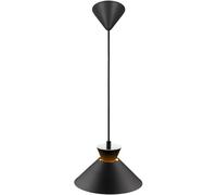 Nordlux Dial lampe suspendue 1x40 W noir 2213333003
