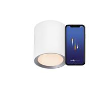 nordlux Landon Plafonnier LED, 2110840101,