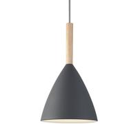 Nordlux Pure lampe suspendue 1x40 W gris/cendre 43293010