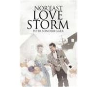 Nor'east Love Storm Sonderegger, Peter (Auteur)