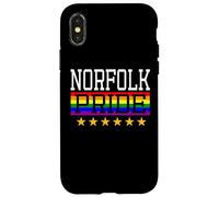 Norfolk Pride England Drapeau Arc-en-Ciel Gay Lesbienne Queer LGBT Coque pour iPhone X/XS
