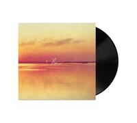 Norm Vinyle
