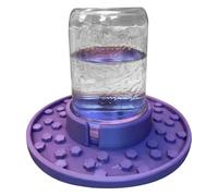 Normal Tarro Bee Feeder, pot maçonnique avec station d'irrigation des | Feeder Colmena - Entrée et alimentation 'alvea Mangeoire de bœuf bre, alimentation de, utilisé p