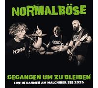 Broken Silence – Normalböse (Zaunpfahl) - Gegangen Um zu Bleiben (Live)