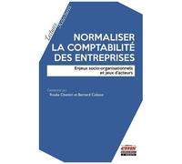 Normaliser La Comptabilité Des Entreprises - Enjeux Socio-Organisationnels Et Jeux D'acteurs