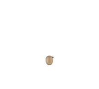 Normann Copenhagen Figurine Little Bird - 3 cm - chêne