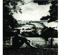 Normil Hawaiians - What's Going On [Cd]