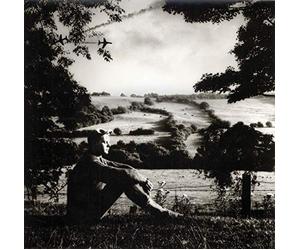 Normil Hawaiians - Whats Going on [Import]