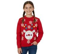 NOROZE Fille Noël 3D Pull Enfants Oiseau Renne Rétro Pullover Pull-Over (Rouge, 9-10 Ans)