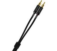 Câble enceinte NORSTONE NORSTONE ARRAN MC 2X500