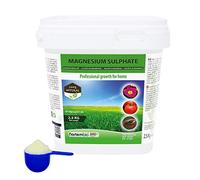 Nortembio Agro Sulfate de Magnésium Naturel 2,5 Kg. Engrais d'Utilisation Universelle. Améliore la Croissance des Cultures, des Jardins, des Plantes d’Intérieur et d’Extérieur.