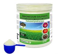 Nortembio Agro Sulfate de Magnésium Naturel 700 g. Utilisation Universelle. Améliore la Croissance des Cultures, des Jardins, des Plantes d’Intérieur et d’Extérieur.