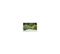 NORTENE-Bordure de gazon Selfix bordura coloris noir 0,13x5 m