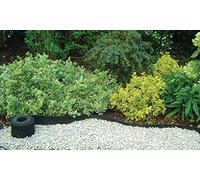 NORTENE-Bordure de gazon Selfix bordura coloris noir 0,13x5 m