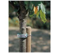 NORTENE-Collier mousse coloris vert 60 cm