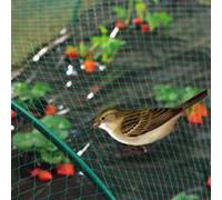 Filet protection oiseaux - 10x2 m