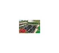 NORTENE-Film paillage spécial fraises