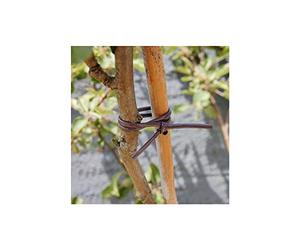 Nortene : Tubefix Lien Souple:d.2,5mm 250g 40ml