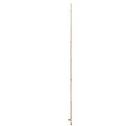 NORTENE-Tuteur bambou naturel coloris beige H 1,80m x diamètre 10-12 mm
