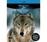 North American Carnivores [Blu-Ray]