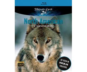 North American Carnivores [Blu-Ray]