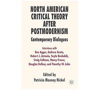 North American Critical Theory After Postmodernism