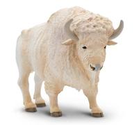North American Wildlife White Buffalo
