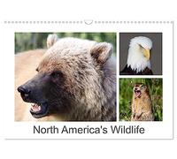 North America's Wildlife (Wall Calendar 2026 DIN A3 landscape), CALVENDO 12 Month Wall Calendar: Variety of wildlife in North America