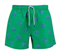 North Sails Short De Bain Volley All Over Turtles