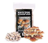 North Spore Bouchons de champignons en châtaignier bio (100 ct) pour bûches | Qualité supérieure | Fait à la main dans le Maine, États-Unis | Cultivez des champignons gourmands en extérieur sur des