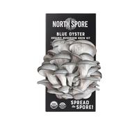 North Spore Kit de pulvérisation et de culture de champignons d'huîtres bleues biologiques (1,8 kg) | Adapté aux débutants et facile à utiliser | Certifié biologique par l'USDA, sans OGM | Fait à la