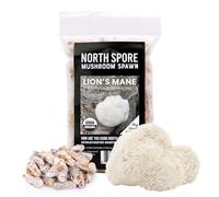 North Spore Lion's Mane Lot de 100 bouchons champignons pour bûches | Qualité supérieure | Fait à la main dans le Maine, aux États-Unis | Cultivez des champignons gourmands en plein air sur des bûches